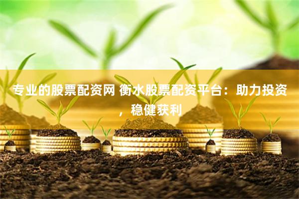 专业的股票配资网 衡水股票配资平台：助力投资，稳健获利