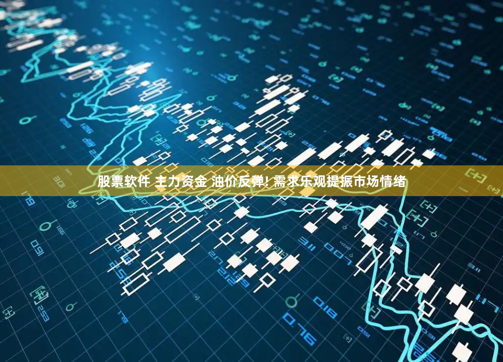股票软件 主力资金 油价反弹! 需求乐观提振市场情绪
