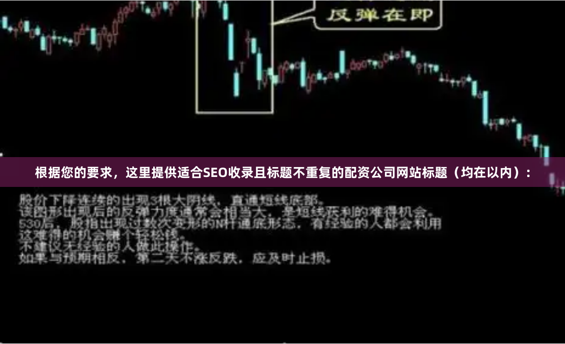 根据您的要求，这里提供适合SEO收录且标题不重复的配资公司网站标题（均在以内）：