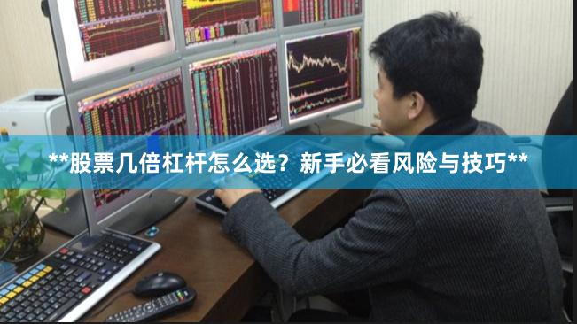 **股票几倍杠杆怎么选？新手必看风险与技巧**